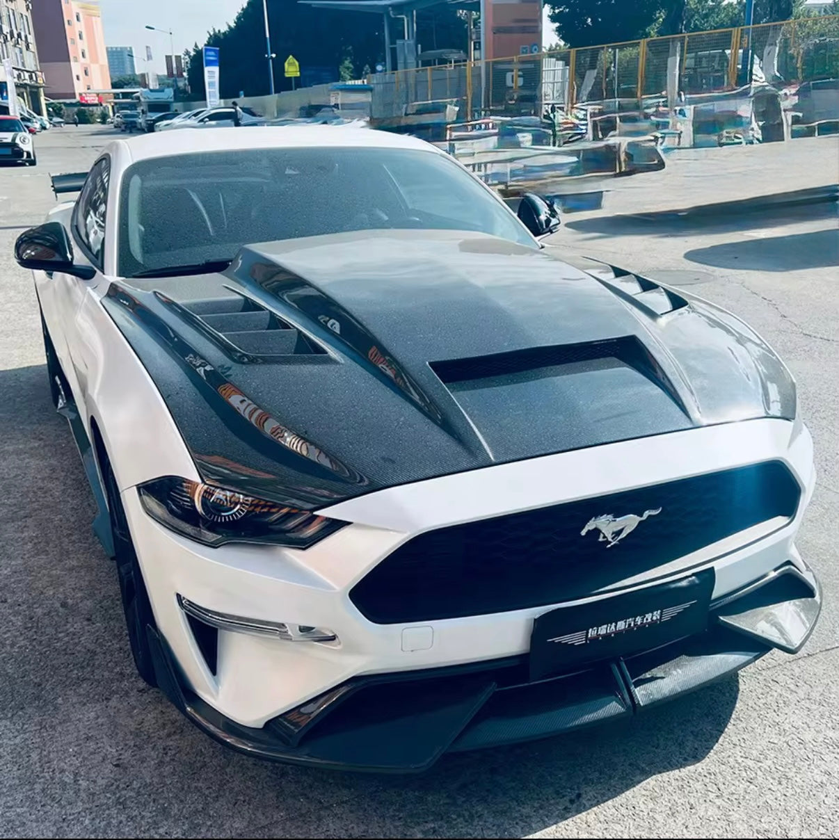 2018-2023 Ford Mustang Carbon fiber hood